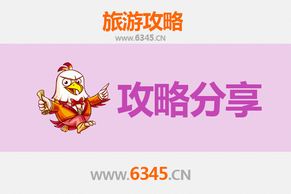 丽水青田至湄洲岛旅游攻略：跟团还是自由行深度解析